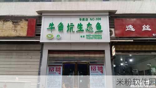 魔兽世界金麟卖店鱼：探索魔兽世界金麟卖店的奇幻鱼类交易之旅