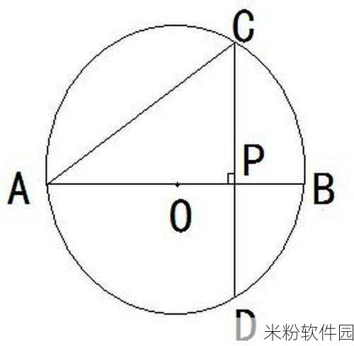 17.c一起草国卢o：探讨新国卢o的共同发展与合作机遇