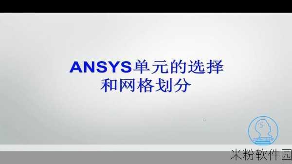 ansys有中文版本吗：Ansys软件是否提供中文版本的详细介绍与说明