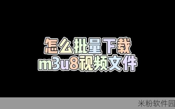 我爱搞一52G.APP.m3u8：探索52G.APP：全新视听体验的M3U8流媒体世界