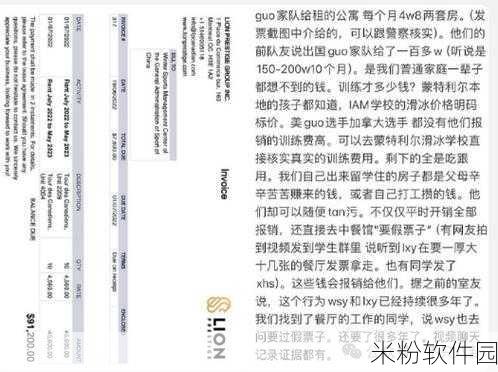 海外黑社料最新爆料：“海外黑市最新调查揭示惊人内幕与交易网络”