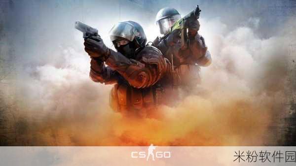 csgo一个人在家寂寞图片：在家独自一人，CS：GO游戏陪伴我的孤寂时光