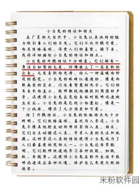 衬衫里的小白兔蹦来蹦去：拓展衬衫中的小白兔欢快跳跃，探索奇妙世界的冒险