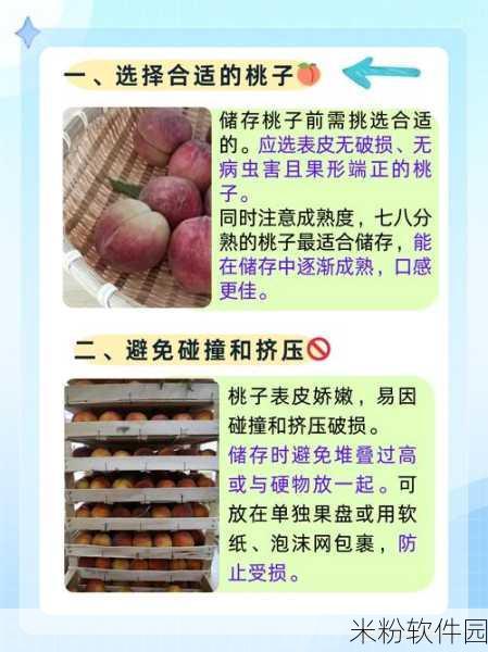 坤操桃子：拓展坤操桃子：探索新鲜水果的魅力与营养价值