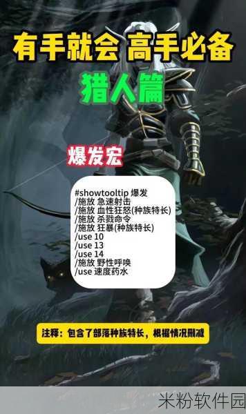 魔兽世界怀旧服射击猎人宏：魔兽世界怀旧服：射击猎人宏大全与实用技巧分享