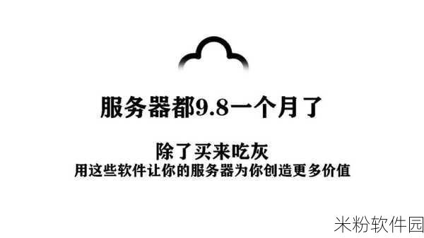 三叶草VPS：三叶草VPS：为您提供高效稳定的云服务器解决方案