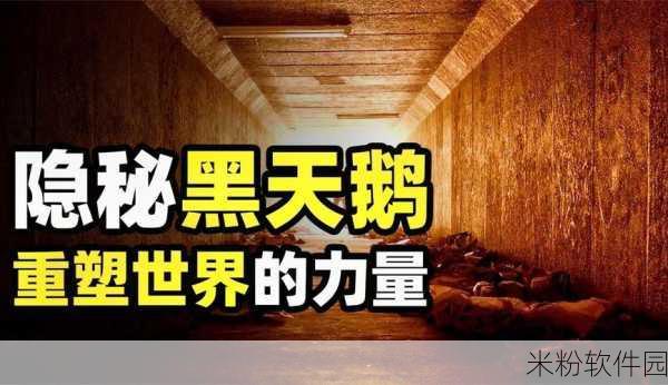 黑社料：探索黑社会的隐秘世界与其影响力分析