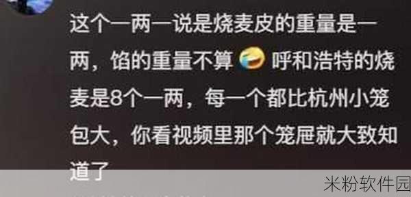 网红黑料：揭开网红背后的黑暗秘密，揭秘不为人知的真相！