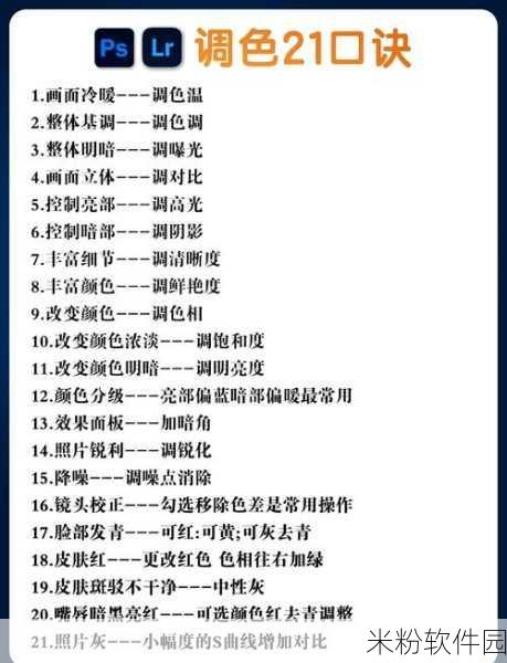 一级调色二级调色三级调色054：全面解析调色技巧：从基础到高级的逐步提升指南