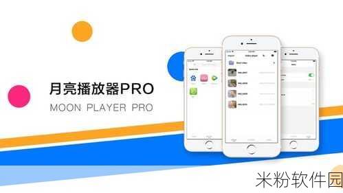 九一pro 破解版：“全新破解版本拓展九一Pro，畅享无限功能与体验！”