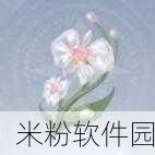 无限暖暖雨滴蝶兰采集攻略，位置与用途全解析