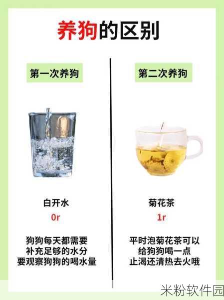 人狗胶配方大全狗狗一天吃多少：全面解析人狗胶配方及狗狗日常食用量指南