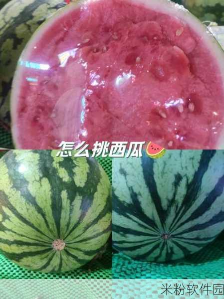 蘑菇吃瓜料每日爆料：每日新鲜爆料：拓展蘑菇吃瓜，揭示隐秘趣闻！