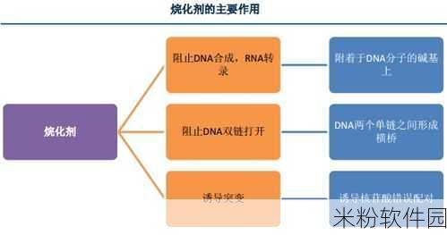 精华液一区导航：探索拓展精华液使用技巧与效果的全方位指南