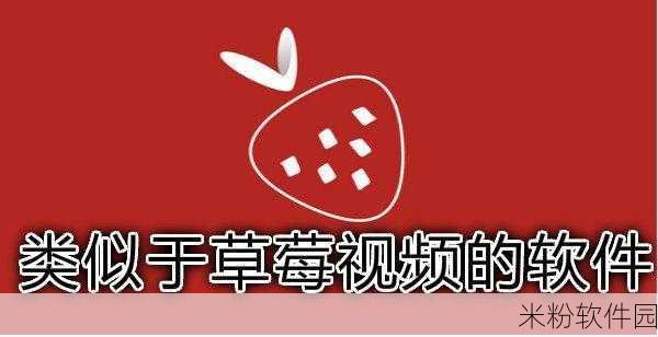 草莓视频app推广：探索草莓视频APP，畅享精彩视界与无限乐趣