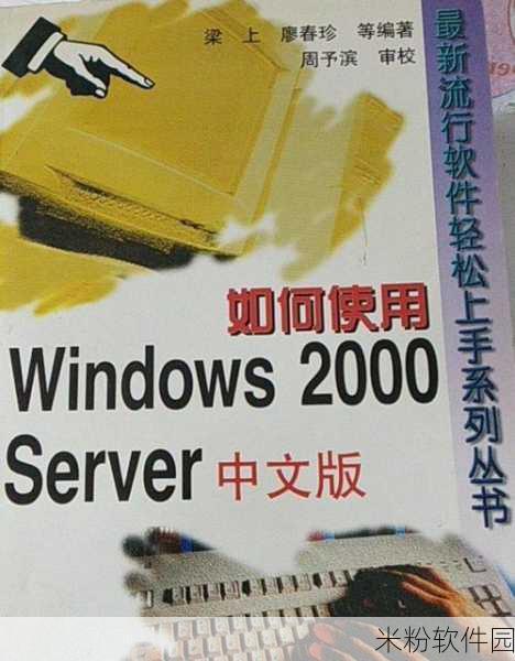 日本Windows Server中文支持：提升日本Windows Server的中文语言支持与应用体验