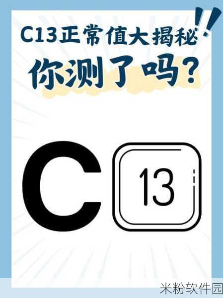 17c13：探索17C13的奥秘：组合数学中的经典案例分析与应用探讨