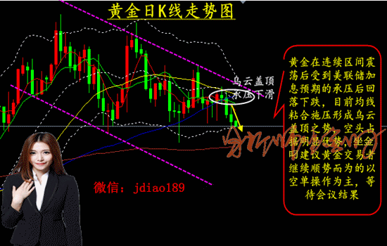 黄金网站软件app观看：全面解析黄金市场动态的专业网站及应用推荐