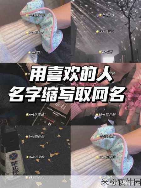 tom最新地域网名中转的好处：提升网络连接速度与稳定性，拓展地域网名中转的优势分析