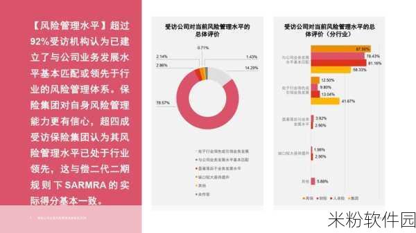 9幺高危风险9.1免费安装：拓展9幺高危风险管理与免费安装服务的全面解析