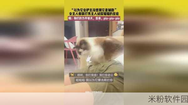 生猴子怎么最舒服：如何让生猴子在拓展活动中感到最舒适的方法