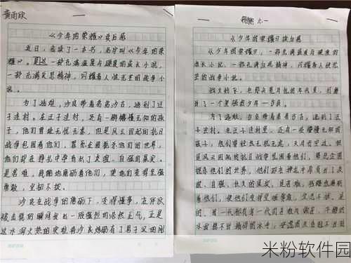 海角社区披风少年的内容分类：探索海角社区披风少年的成长与冒险故事