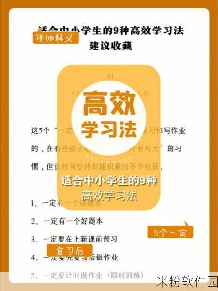 18     网站：“打造高效便捷的在线学习平台，助力知识共享与技能提升”