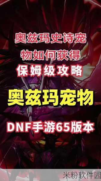 dnf宠物盘点：全方位盘点DNF宠物：类型、技能与培养攻略详解