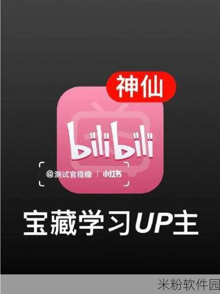 免费夜里十8禁用b站app网页：探索夜间无限乐趣，畅享B站精彩内容的全新方法