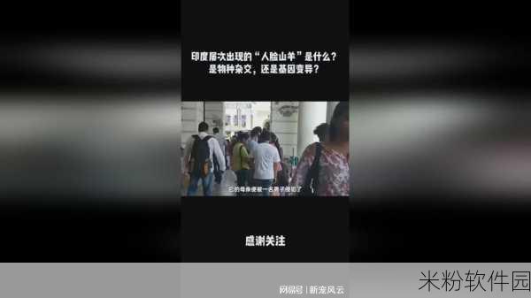 韩国三色电费免费观看：探索韩国三色电费新模式，享受免费用电的奥秘！