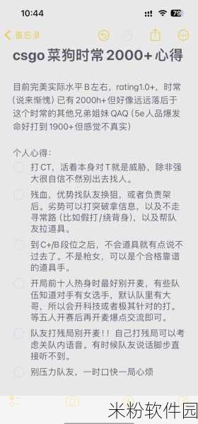 暴躁老阿姨csgo技巧：暴躁老阿姨的CSGO技巧大揭秘：从新手到高手的进阶之路