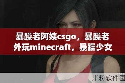 暴躁老阿姨CSGO秘籍：暴躁老阿姨的CSGO绝技：从菜鸟到高手的成长之路