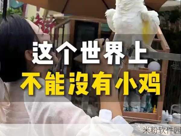 中文大白屁股小娘们：可爱的白屁股小姑娘们，带你探索生活中的欢乐与趣味！