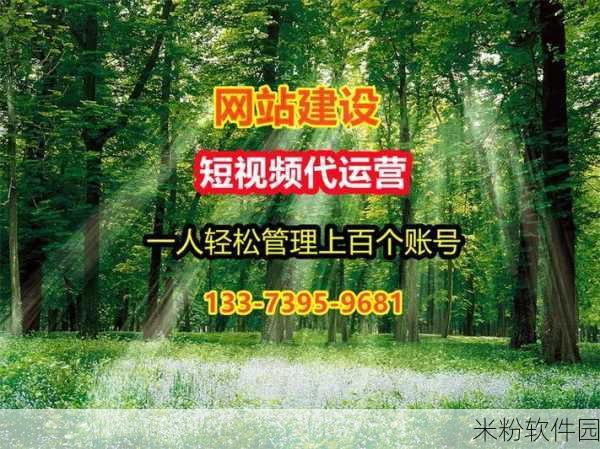 seo短视频网页入口引流：优化短视频SEO，提升网页入口流量的有效策略