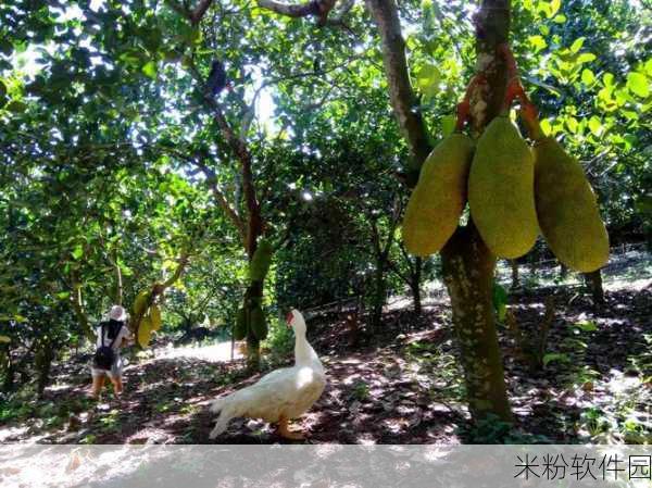 菠萝蜜在线观看高清免费视频：畅享菠萝蜜的美味与文化，免费观看精彩视频