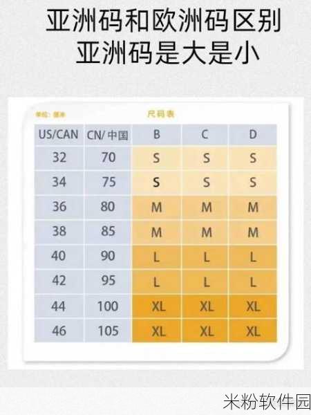 欧亚尺码专线欧洲b1b2：深入解析欧亚尺码专线：欧洲B1、B2的详细对比与应用