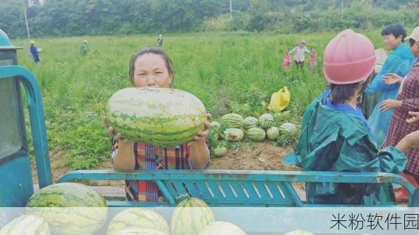 大坤巴进入小桃子：大坤巴成功拓展业务，携手小桃子开启新篇章。