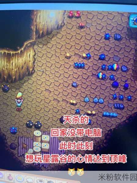 星露谷物语，火车站石头移开攻略，畅行无阻新探索