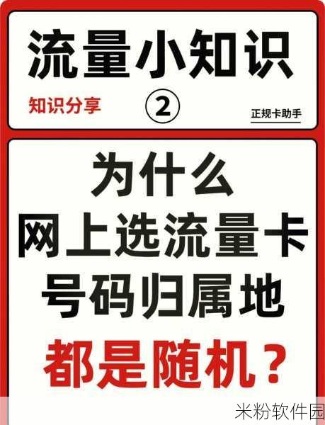 最新国产毛2卡3卡4卡：探秘最新国产毛2卡、3卡与4卡的精彩世界