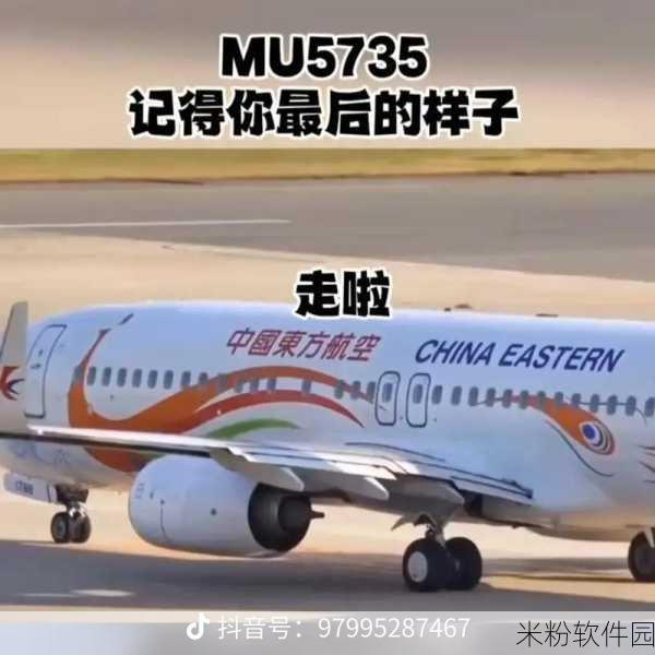 mu5735不敢公布的真相外网：揭示MU5735航班不为人知的真相与背后故事