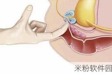 胡桃从尿道口挤出白色分泌物：尿道口挤出白色分泌物的原因及应对措施解析