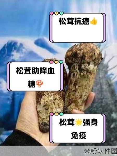 蘑菇51反差：“探索蘑菇51的神秘反差，揭开自然界的奇妙面纱！”