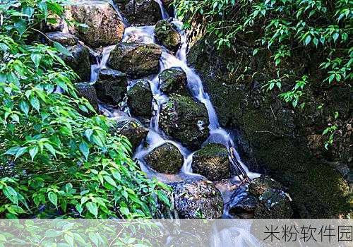 两峰夹小溪地湿：两峰之间潺潺溪水流，湿地风光惹人醉