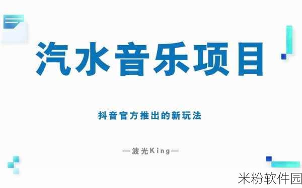 汽水音乐推广授权申请：关于拓展汽水音乐推广及授权申请的建议方案