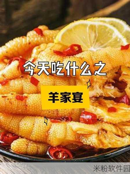 大香煮2023一人一煮：2023年一人一煮：尽享个性化美食新体验！