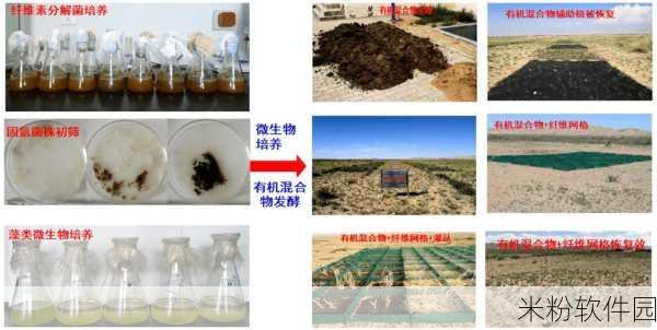 草留：在自然生态中保护和恢复草地的重要性与方法探讨