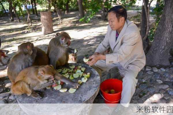 生猴子软件 免费：免费拓展生猴子软件，助力提升工作效率与创意灵感！