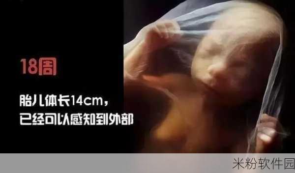 二人生孩子全程不盖被子黄：在无被子的陪伴下，二人迎来了新生命的诞生。