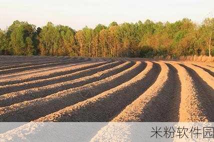 儿耕妈荒废的田：智慧耕作：重振荒废田地的美丽新生