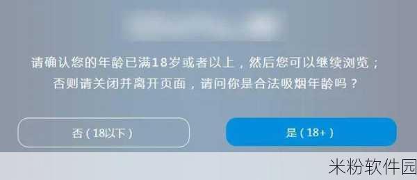 中国十八禁网站：探索中国网络禁区：揭示十八禁网站的真相与影响